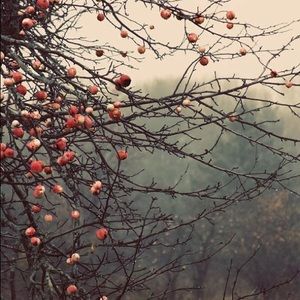 Meet your Posher, Dominique